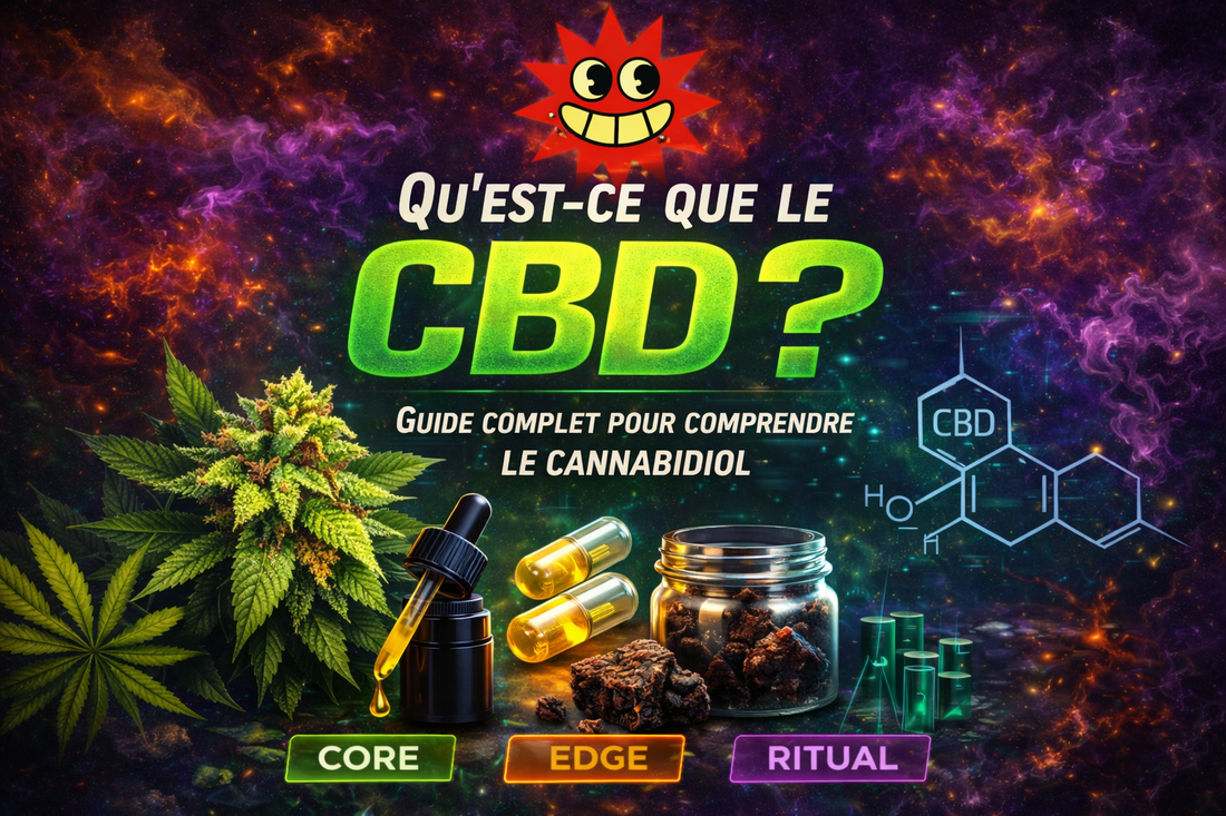 Qu’est-ce que le CBD ? Guide complet pour comprendre le cannabidiol