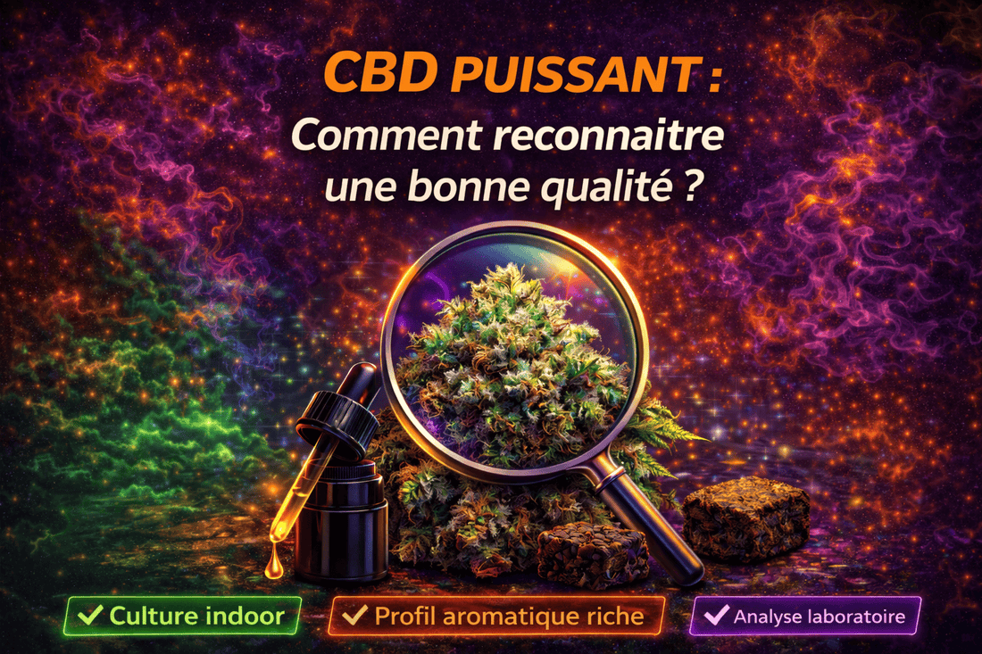 CBD puissant : comment reconnaître une bonne qualité ?