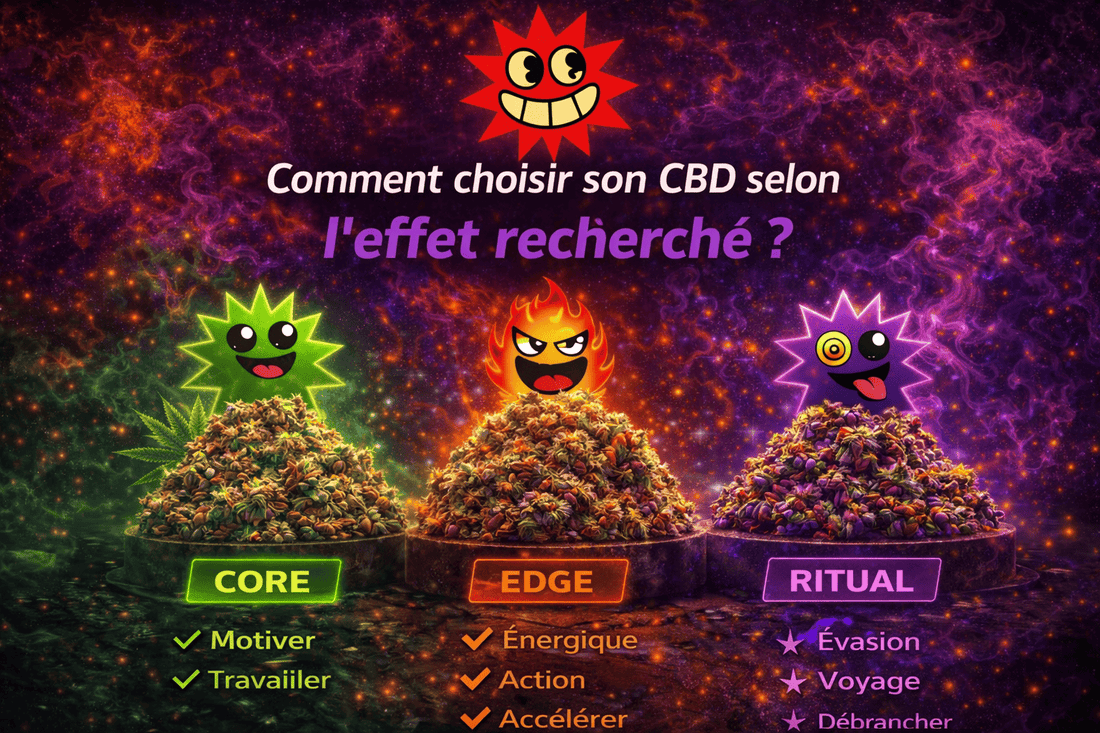 Comment choisir son CBD selon l’effet recherché ? Le guide pour trouver le bon produit