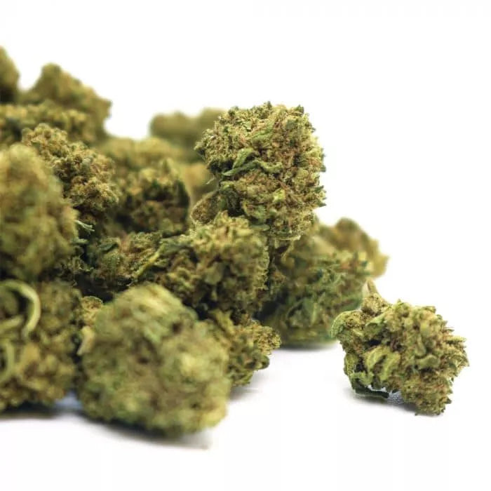 🍇 GELATO PURPLE — LÂCHER-PRISE