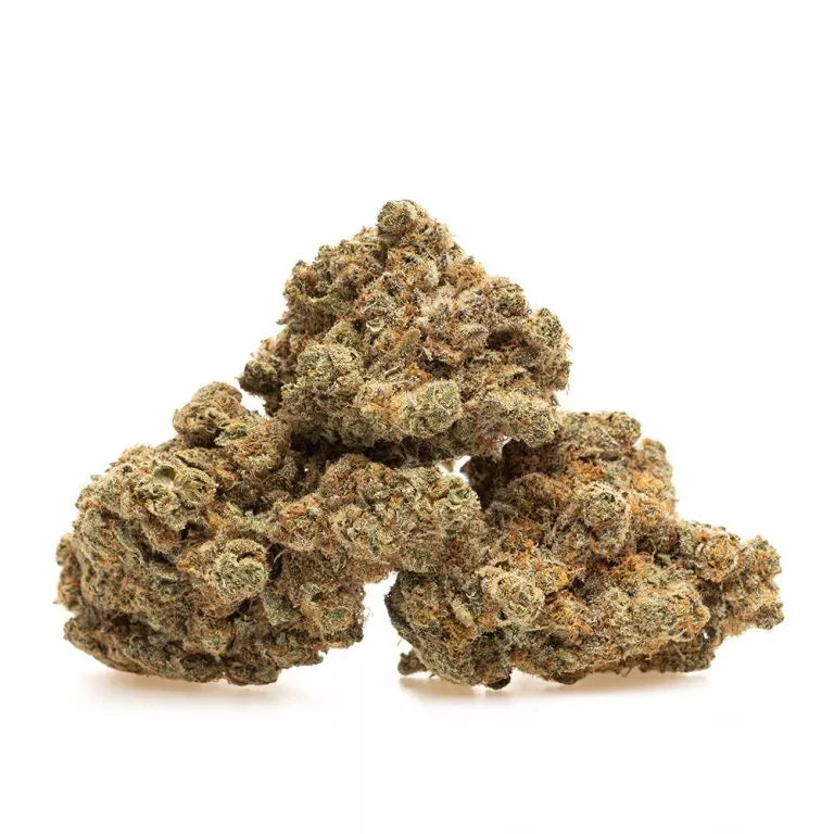 🟢 GALACTIC GAS — ÉQUILIBRE