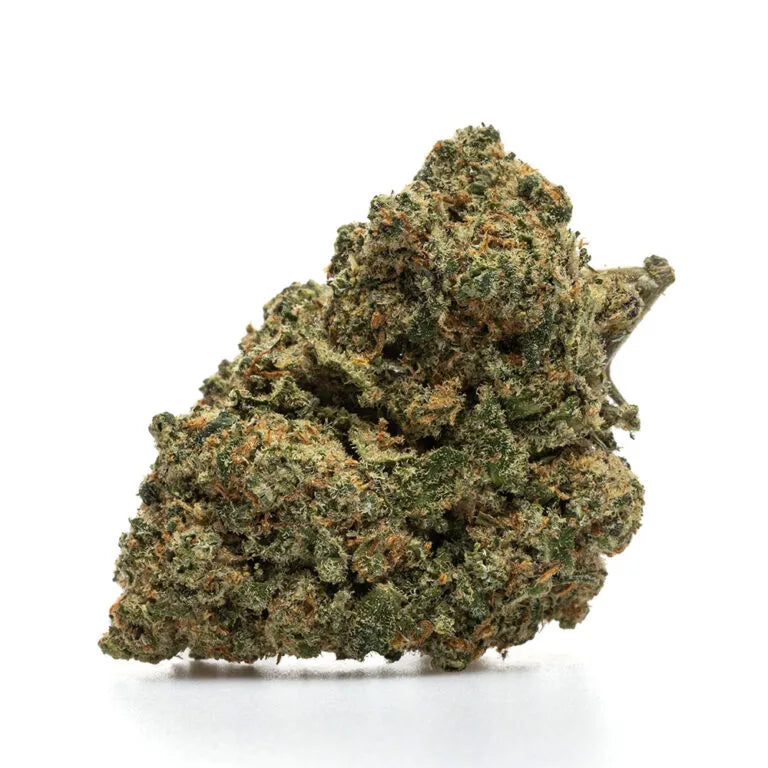 🟡 TRUMP — FLUIDITÉ