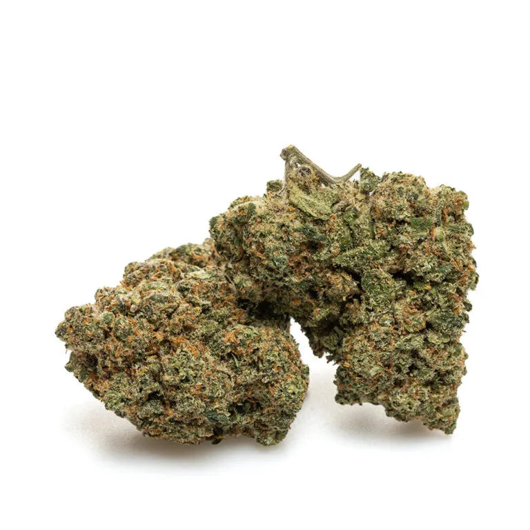 🟡 TRUMP — FLUIDITÉ